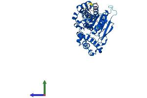 Protein Structure (PS) image for Abhydrolase Domain Containing 1 (ABHD1) (AA 1-412) protein (His tag) (ABIN7561823)