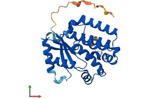 Protein Structure (PS) image for Deoxycytidine Kinase (DCK) (AA 1-260) protein (His tag) (ABIN7563262)