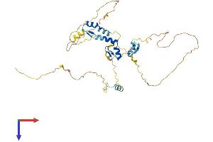 ZNF385A Protein (AA 1-386) (His tag)