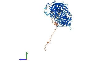 Protein Structure (PS) image for Poly (ADP-Ribose) Polymerase Family, Member 3 (PARP3) (AA 1-533) protein (His tag) (ABIN7554875)