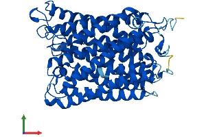 Protein Structure (PS) image for Cytochrome C Oxidase Subunit I (COX1) (AA 1-513) protein (His tag) (ABIN7546731)