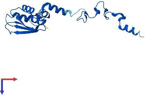 MRPS25 Protein (AA 1-173) (His tag)