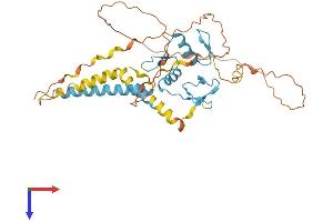 ZNF367 Protein (AA 1-350) (His tag)