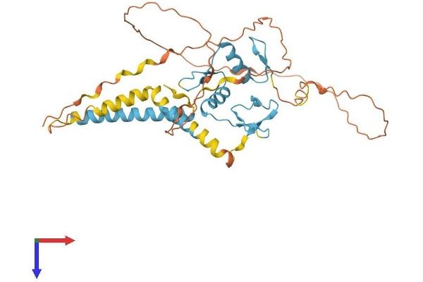 ZNF367 Protein (AA 1-350) (His tag)
