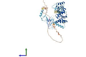 Protein Structure (PS) image for Paraneoplastic Antigen MA3 (PNMA3) (AA 1-463) protein (His tag) (ABIN7550816)
