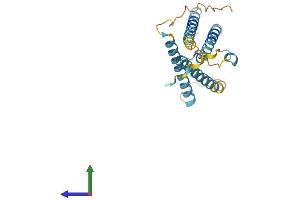 Protein Structure (PS) image for Lysosomal Protein Transmembrane 4 alpha (LAPTM4A) (AA 1-233) protein (His tag) (ABIN7557639)