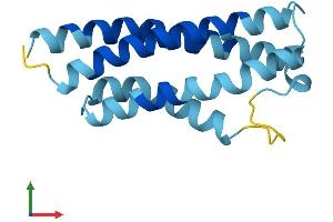 Protein Structure (PS) image for Cornichon Homolog (CNIH) (AA 1-144) protein (His tag) (ABIN7562307)