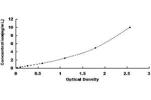 Breakpoint Cluster Region (BCR) ELISA Kit