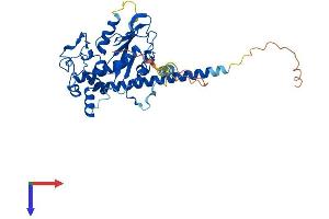 HS6ST1 Protein (AA 1-411) (His tag)
