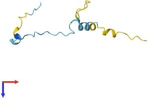ANAPC13 Protein (AA 1-74) (Fc Tag)