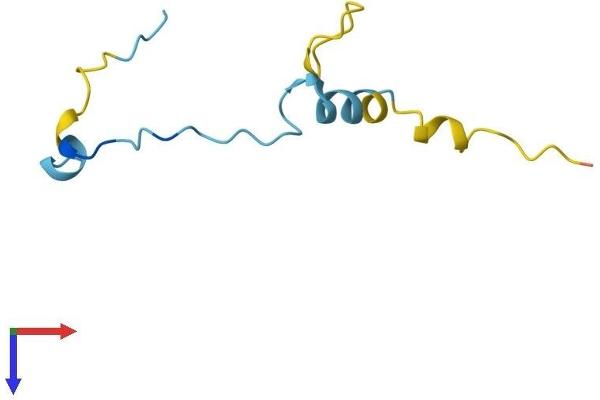ANAPC13 Protein (AA 1-74) (Fc Tag)
