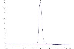 Size-exclusion chromatography-High Pressure Liquid Chromatography (SEC-HPLC) image for Matrix Metallopeptidase 9 (Gelatinase B, 92kDa Gelatinase, 92kDa Type IV Collagenase) (MMP9) (AA 20-706) protein (His tag) (ABIN7275266)