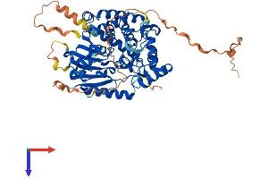 DNAAF3 Protein (AA 1-541) (His tag)