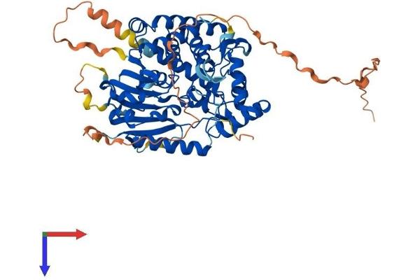 DNAAF3 Protein (AA 1-541) (His tag)