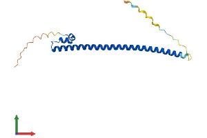 Protein Structure (PS) image for Transcription Factor MafF (MAFF) (AA 1-156) protein (His tag) (ABIN7562414)