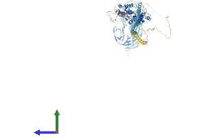 AlphaFold protein structure predicition of Mouse Recombinant Tbc1d31 Protein, UniprotID Q6NXY1