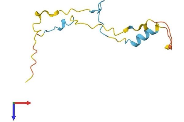 PRR15L Protein (AA 1-103) (His tag)