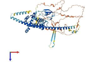 RACGAP1 Protein (AA 1-632) (His tag)