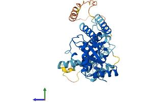 Protein Structure (PS) image for Ubiquitin-Conjugating Enzyme E2Q Family Member 2 (UBE2Q2) (AA 1-375) protein (His tag) (ABIN7544982)