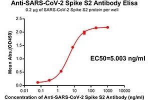 Elisa plate pre-coated by 2 μg/mL(100 μL/well) SARS-CoV-2 Spike S2 protein can bind Rabbit Anti-SARS-CoV-2 Spike S2 monoclonal antibody (clone:DM39) in a linear range of 0. (SARS-CoV-2 Spike Antikörper)