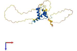 HOXB9 Protein (AA 1-250) (His tag)