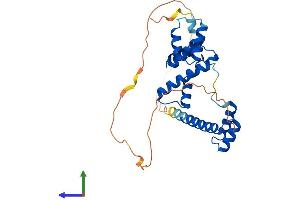 Protein Structure (PS) image for SIX Homeobox 2 (SIX2) (AA 1-291) protein (His tag) (ABIN7555484)