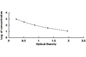 Typical standard curve (Pro-C-Type Natriuretic Peptide (NT-ProCNP) ELISA Kit)