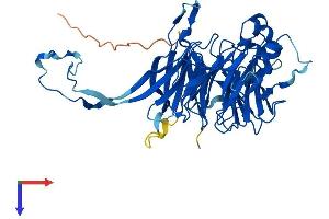 PPP2R2B Protein (AA 1-443) (His tag)