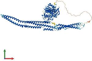 AlphaFold protein structure predicition of Human Recombinant FER Protein, UniprotID P16591
