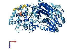 ERCC2 Protein (AA 1-760) (His tag)