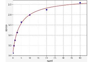 Transferrin Receptor (p90, CD71) (TFRC) ELISA Kit