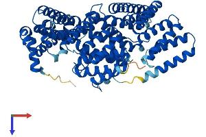 APPBP2 Protein (AA 1-585) (His tag)