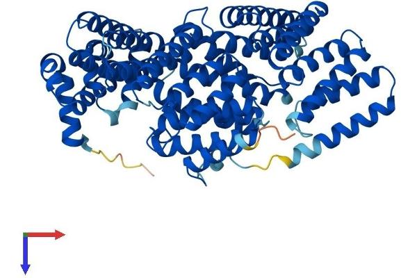 APPBP2 Protein (AA 1-585) (His tag)