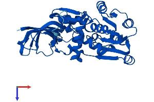 PTGR1 Protein (AA 1-329) (His tag)