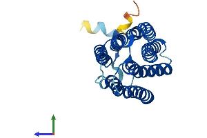 Protein Structure (PS) image for Monocyte To Macrophage Differentiation-Associated (MMD) (AA 1-238) protein (His tag) (ABIN7560589)