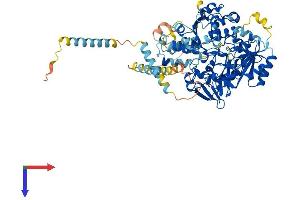 MGAT5 Protein (AA 1-740) (His tag)