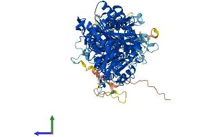 Protein Structure (PS) image for Phospholipase D2 (PLD2) (AA 1-933) protein (His tag) (ABIN7556829)