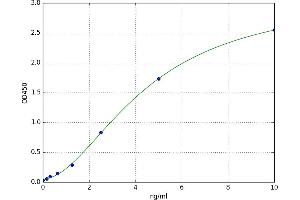 A typical standard curve (RAC1 ELISA Kit)