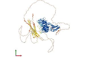 AlphaFold protein structure predicition of Mouse Recombinant Klhdc7a Protein, UniprotID A2APT9