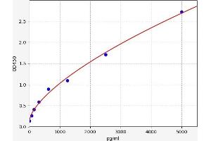 Growth Differentiation Factor 3 (GDF3) ELISA Kit
