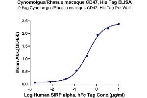 ELISA image for CD47 (CD47) (AA 19-141) protein (His tag) (ABIN7274217)