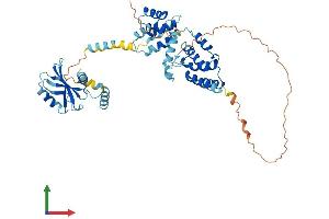 Protein Structure (PS) image for Paraneoplastic Antigen MA3 (PNMA3) (AA 1-463) protein (His tag) (ABIN7550816)