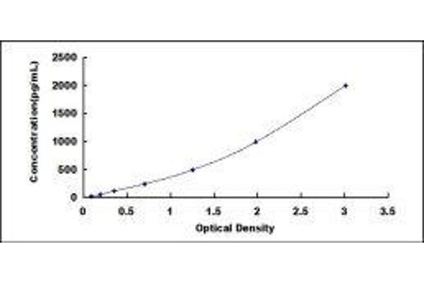 Pleiotrophin ELISA Kit