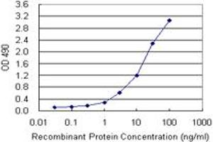 ELISA image for KIT (Human) Matched Antibody Pair (ABIN1341651)