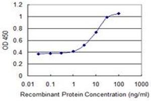 Detection limit for recombinant GST tagged IKZF5 is 0. (IKZF5 Antikörper  (AA 2-100))