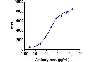 Human TIGIT HEK293 cells were stained with Anti-TIGIT Reference Antibody (tiragolumab) and negative control protein respectively, washed and then followed by PE and analyzed with FACS, EC50=0.