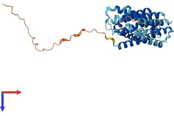 SLC35E4 Protein (AA 1-351) (His tag)
