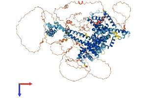 GAPVD1 Protein (AA 1-1478) (His tag)