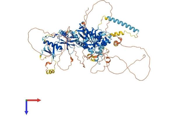 DDHD1 Protein (AA 1-900) (His tag)