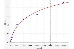 Carcinoembryonic Antigen Gene Family (CEA) ELISA Kit